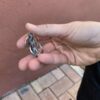 Fidget chaîne de vélo (EDC)