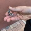 Fidget chaîne de vélo (EDC)