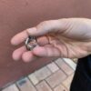 Fidget chaîne de vélo (EDC)