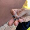 Fidget chaîne de vélo (EDC)
